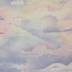 70*60 パステル 水彩 雲 鳥 風景 ファンシー 幻想的