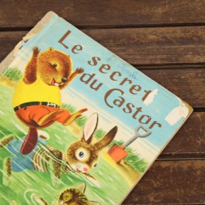 Le secret du Castor ビーバーの秘密