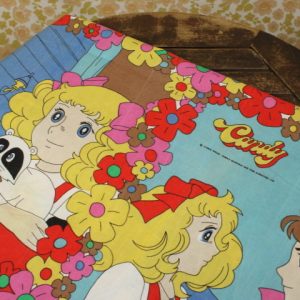 解体生地 キャンディ・キャンディ