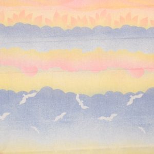 55*70 ファンシー 鳥 雲 グラデーション パステル
