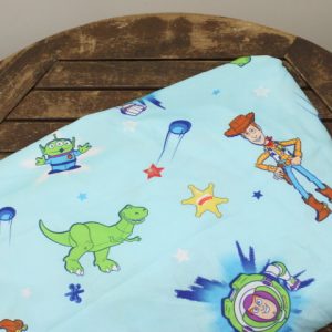 ベビー ボックス ディズニー トイ・ストーリー 水色