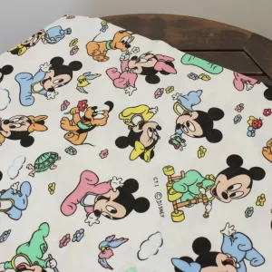 ベビーフラット ミッキー ミニー プルート 公園