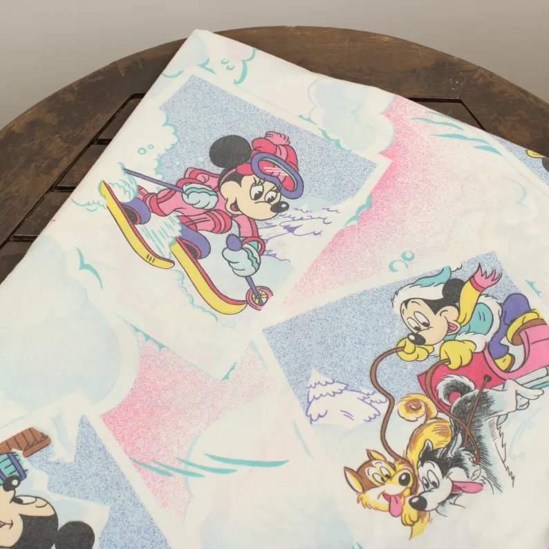 ボックス ミッキー ミニー ウィンタースポーツ