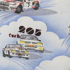 90*80 ラリー 車 プジョー ２０５ TURBO１６