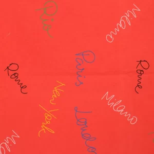 60*90  ロゴ 手描き文字 都市名 赤