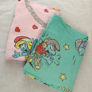 2枚組 ボックス スマーフ スマーフェット スケボー エアロビ