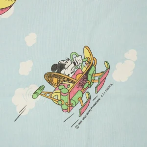 ベビーフラット ミッキー ミニー 空中散歩 空